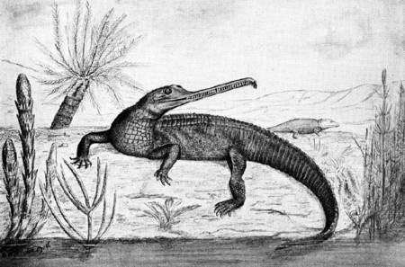 Mystriosuchus